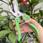 Stainless Steel Bonsai Trimmer - Cutting Tools - zhineng.yurongxinxikeji.com